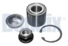 RENAU 432100366R Wheel Bearing Kit